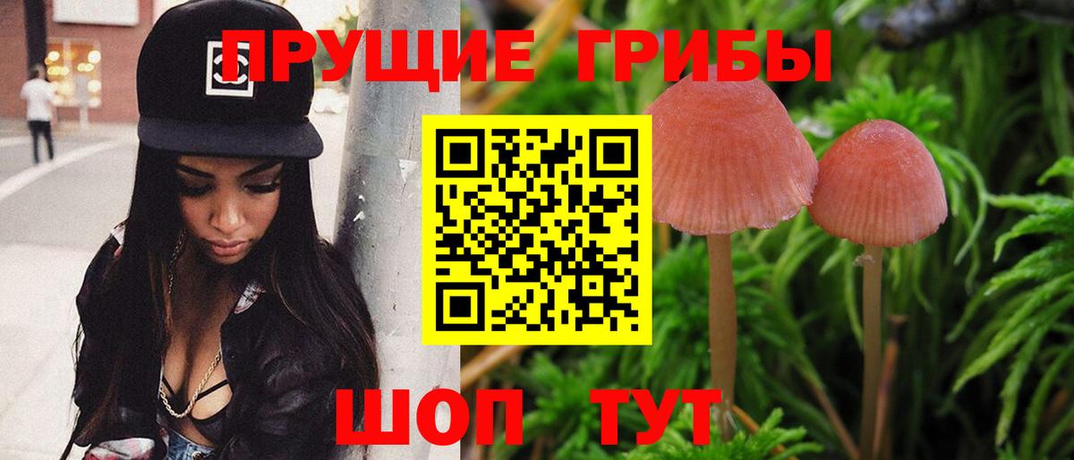 Псилоцибиновые грибы Magic Shrooms  Псилоцибиновые грибы Magic Shrooms  Ипатово  Вход с VPN 
