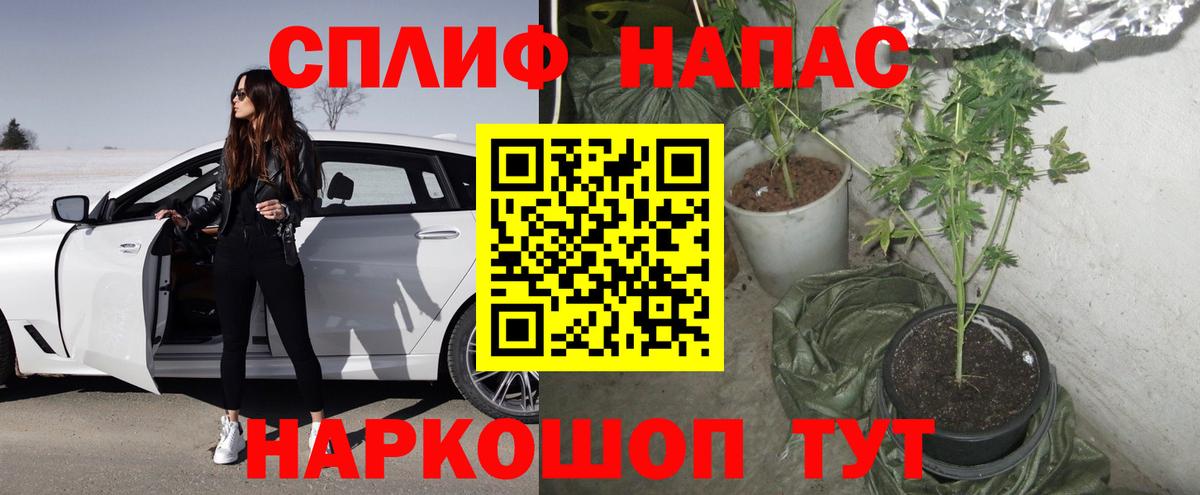 Шишки марихуана Ganja  Шишки марихуана тримм  Вход с VPN  Бошки марихуана ГИДРОПОН  Ипатово 